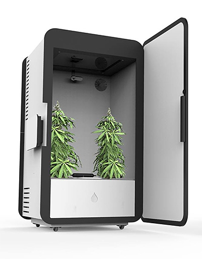 Leaf Cannabis Growing System Leaf Cannabis Growing System at werd.com