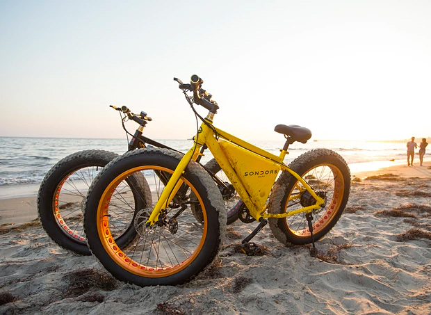 Sondors Electric Bike