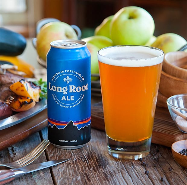 Patagonia Long Root Ale