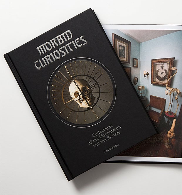 Morbid Curiosities: Collections of the Uncommon and the Bizarre