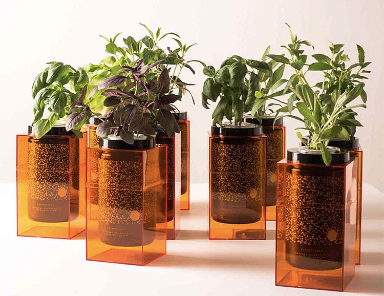 SpacePot is the World’s Simplest Hydroponic Grow System