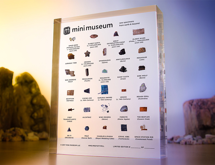 Your Mini Museum Puts Dinosaur Bones & Steve Jobs’ Turtleneck On Display