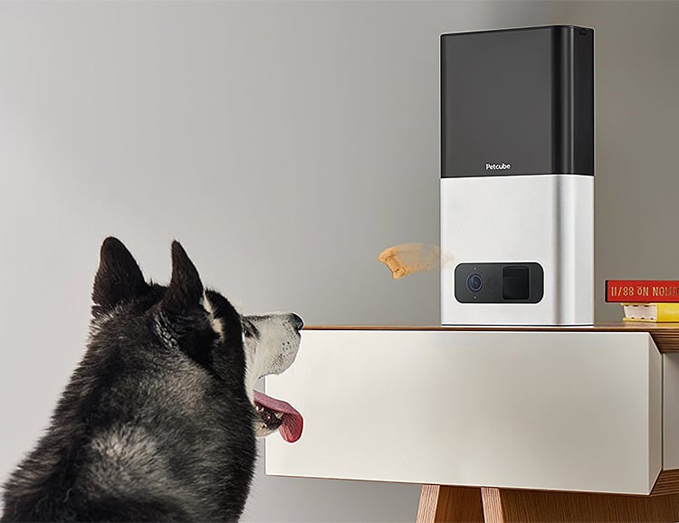 The Petcube Bites Pet Camera Will Fling Your Dog Treats, Remotely