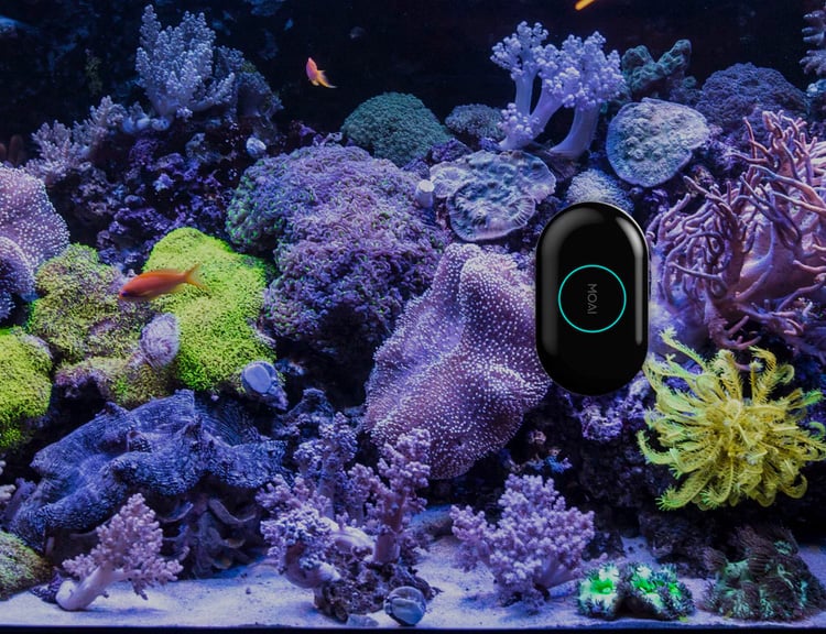 We Found a Robot that Cleans Your Aquarium