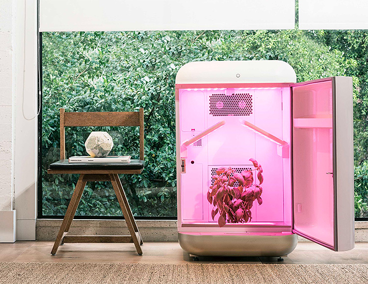 Let Seedo Grow Plants While You Do Literally Nothing