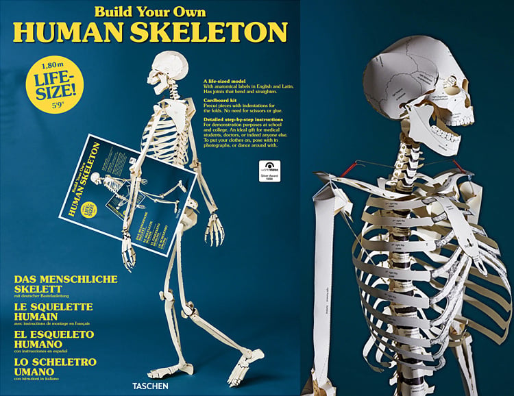 Build a Skeleton In Your Spare Time