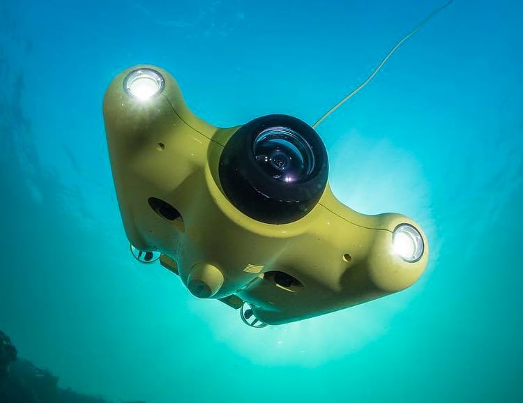 The Gladius Drone Dives Deep & Captures All The Underwater Action