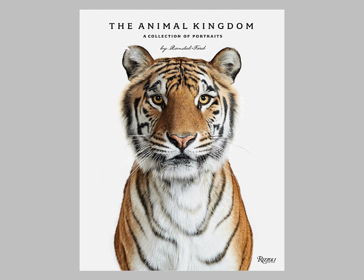 Animal Kingdom : A Collection of Portraits