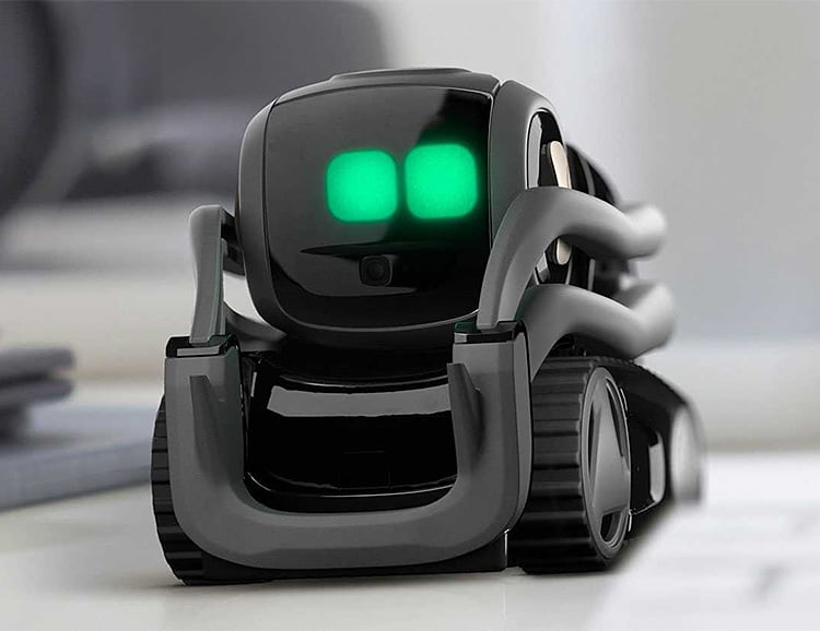 Vector is the Robot Droid of Tomorrow, Today