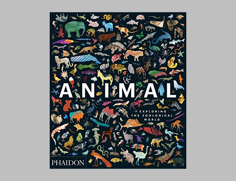 Animal: Exploring the Zoological World