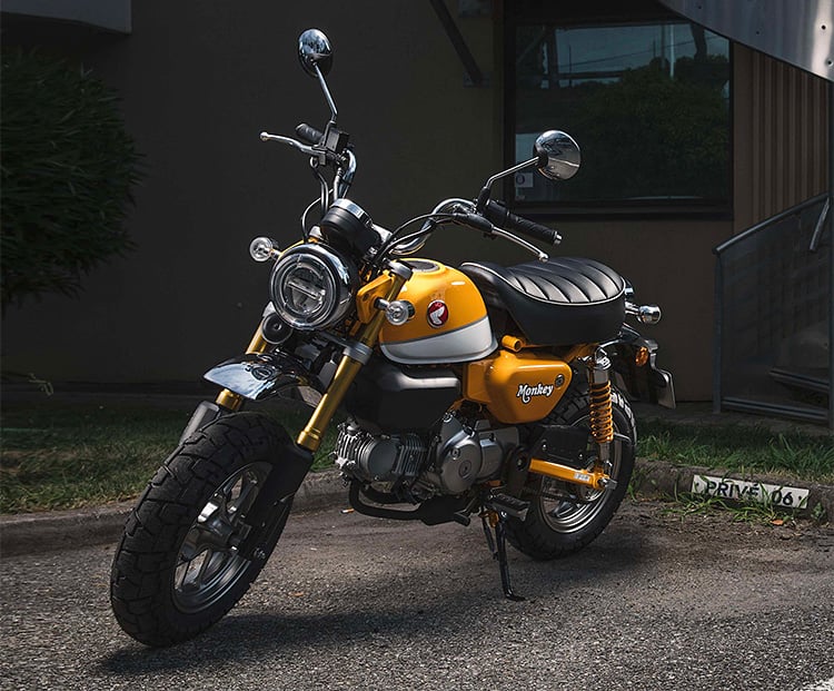 Looks Like Fun: The 2019 Honda Monkey