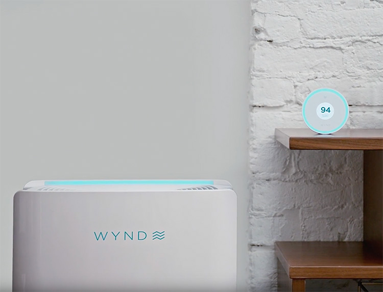 Breathe Easy with the Wynd Halo + Home Purifier