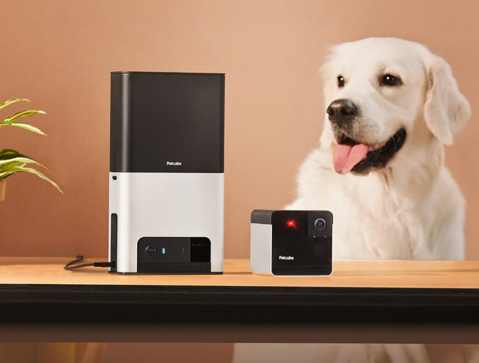 Petcube Adds Alexa To Bites 2 & Play 2 System