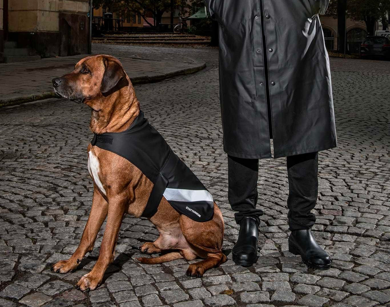 These Dog Raincoats Give Your Best Friend Shelter from the Storm