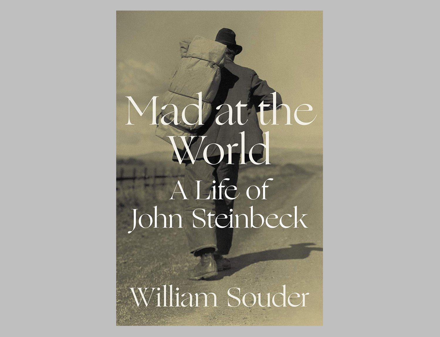 Mad at the World: A Life of John Steinbeck