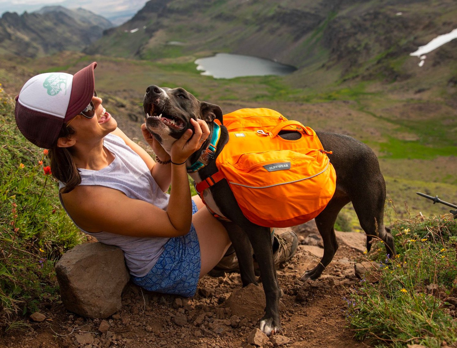 Equip Your Pup To Hike Like A Pro