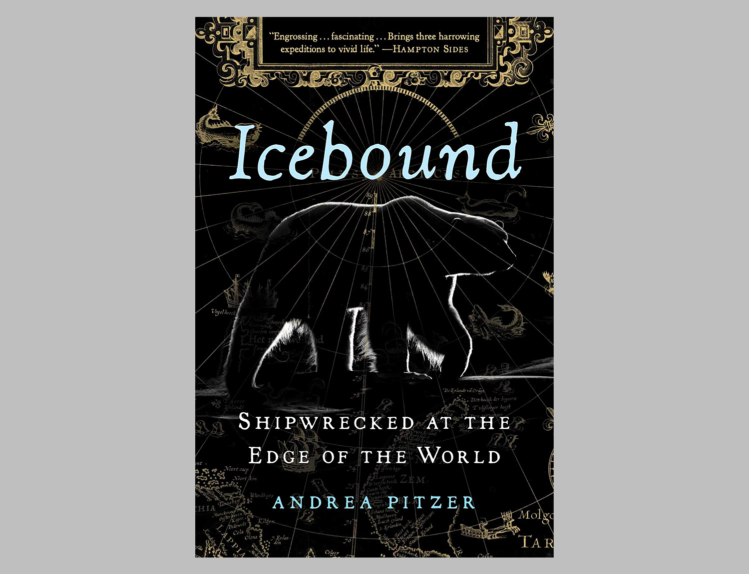 Icebound: Shipwrecked at the Edge of the World