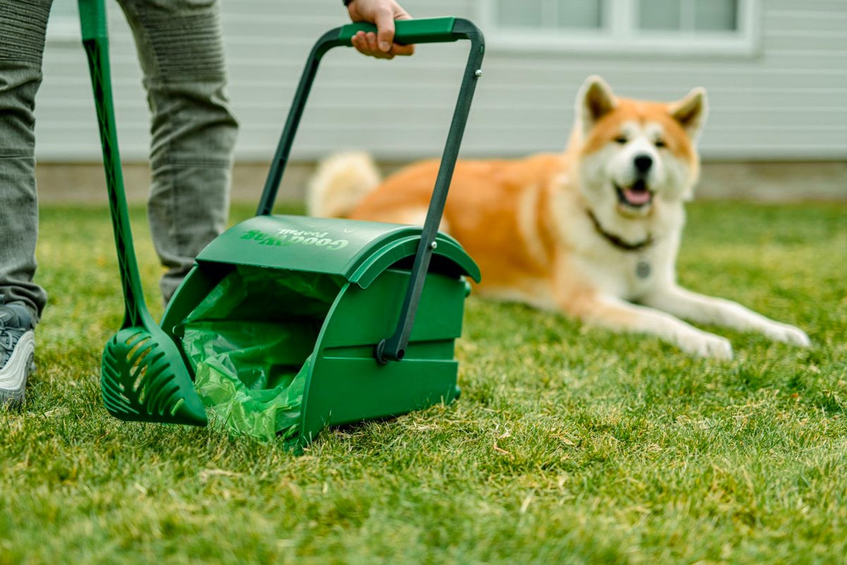 Let PooPail Handle Your Pet’s Dirty Work