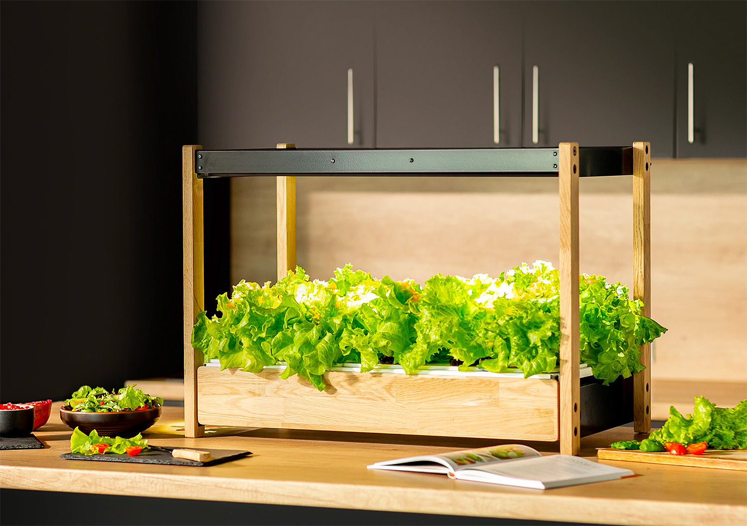 Grow an Edible Garden Indoors with the Click & Grow 25