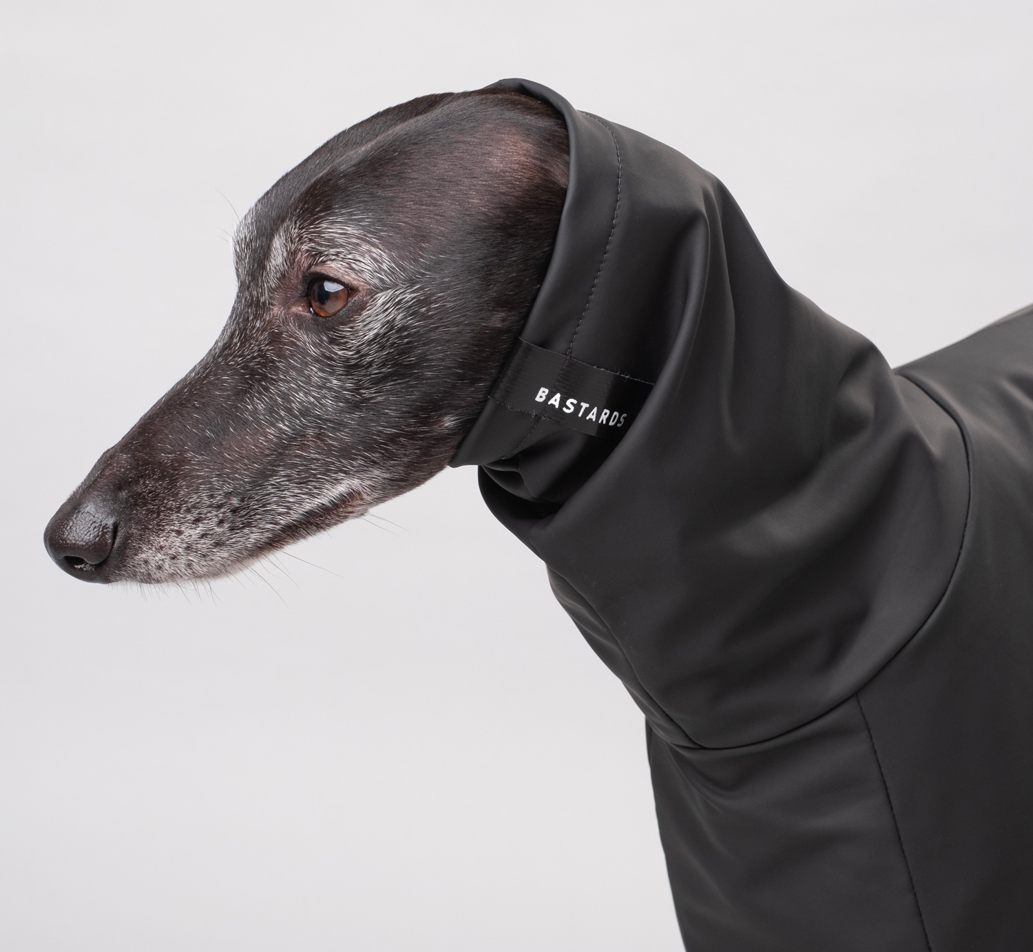 Keep Your Doggo Dry with Bastards All-Weather Wear