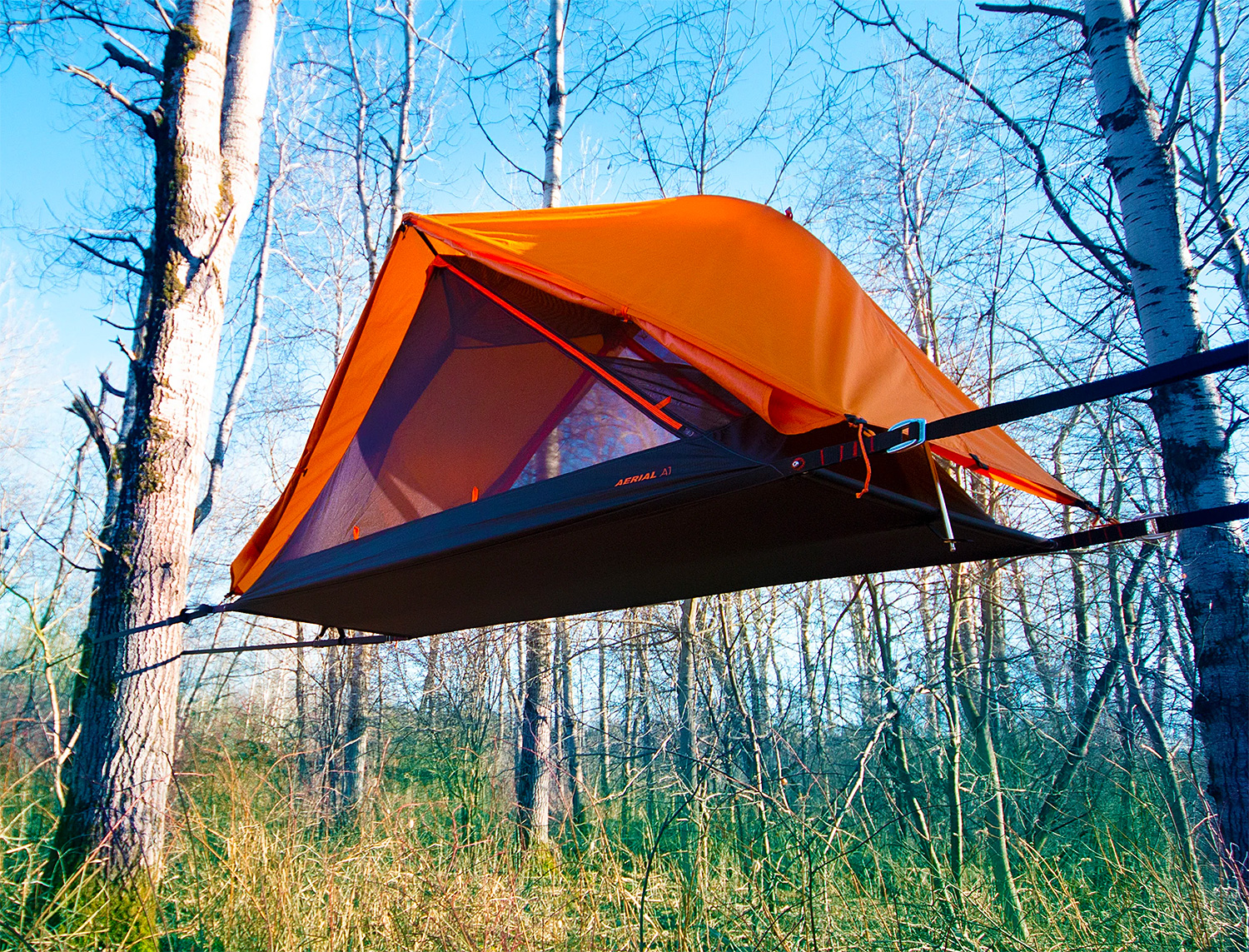 Get Off the Ground with the Aerial 1 Tree Tent