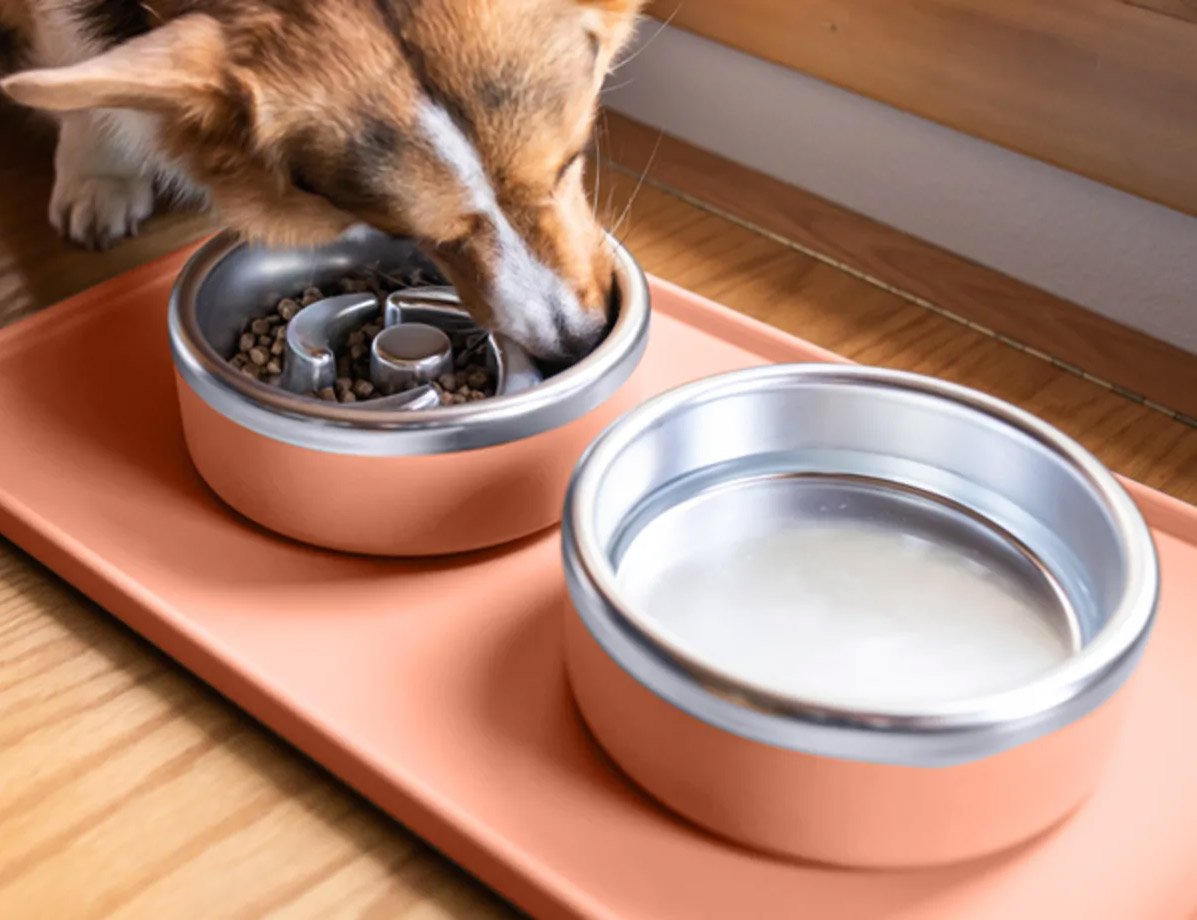 Slow Your Dog Down with the Trot Puzzle Feeder