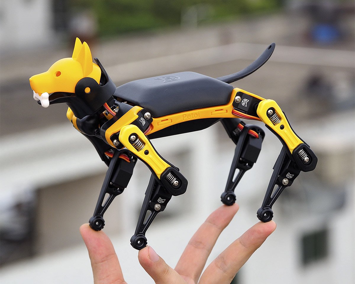 Learn Robotics from Your Programmable Pet