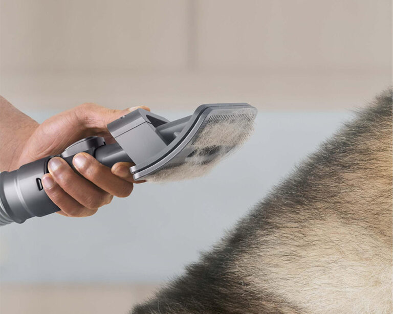 Dyson Releases a New Pet Grooming Kit WERD